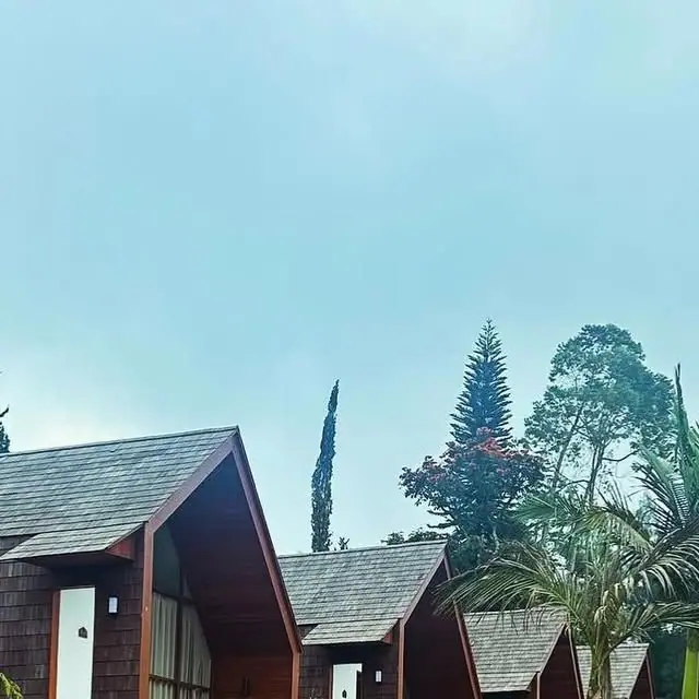 A row of shingled A-frame cabins among trees at Catu Glamping