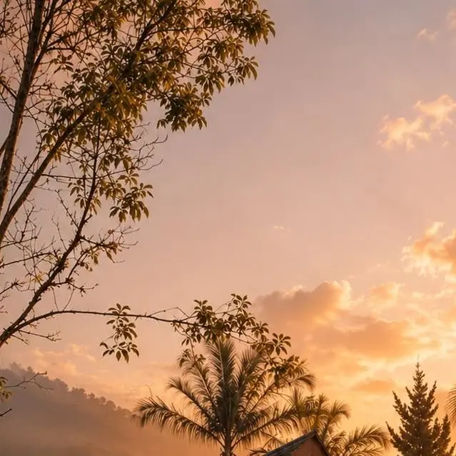Golden sky at dusk behind palm trees and pines at Catu Glamping
