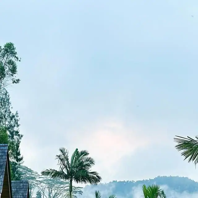 Misty sky over palms and cabin roofs at Catu Glamping